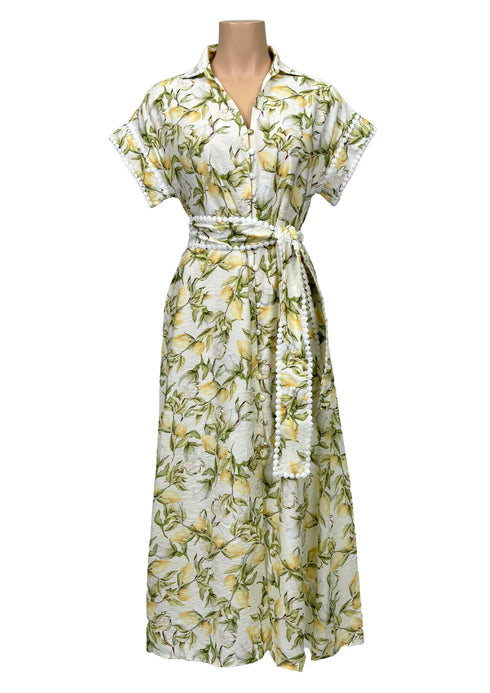 Lemon Multi Maxi Dress